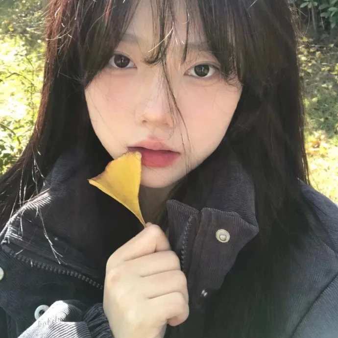 非凡的故事
